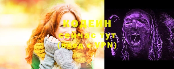 дурь Арсеньев