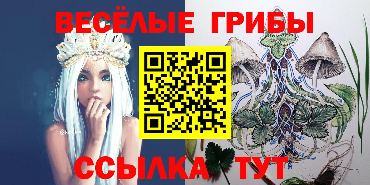 Галлюциногенные грибы Magic Shrooms Гуково